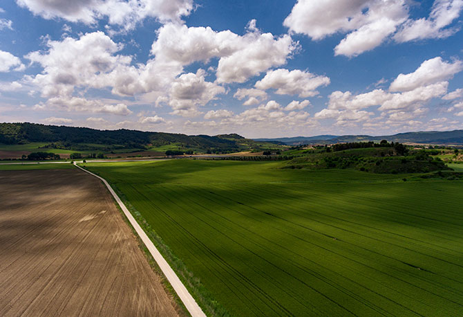 Fotografía de campos con dron
