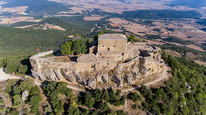 Fotografía aérea de castillo con dron